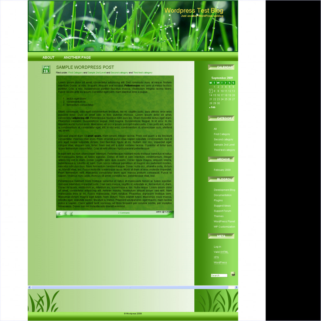 download Rain Drops theme