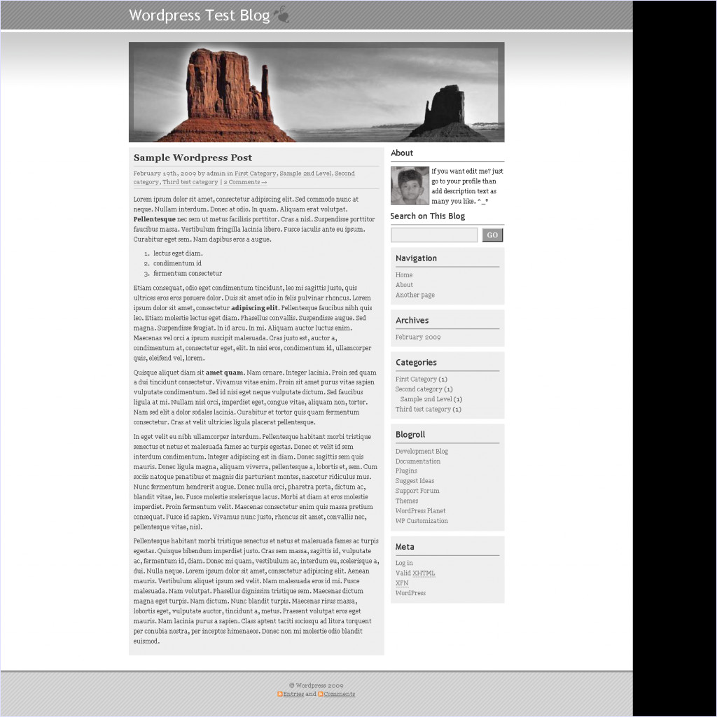 download Ngatini theme